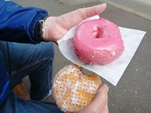 Vegan donuts at Oh Donuts & Coffee in Belfast