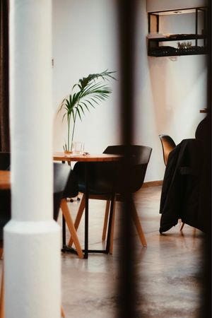 Decor at Roots & Rolls in Barcelona