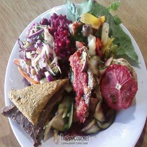 Plate of raw food. Raw pizza slice is included but it's not apparent in the photo. at PAWS Community Resource Centre in Perth