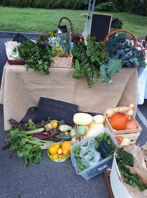 Vegetables at EcoLocal Farmers' Market in Chisinau