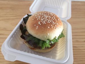 Oyster mushroom and lentil burger 🍔  at Changarrito Vegano in Valle De Bravo