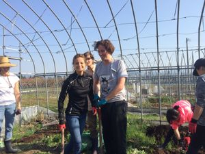 Farming is one of the beautiful "Karma Yoga"...   at Dana Village in Nishiaizu