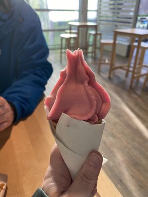 Vegan ice cream 5 kr. It’s a sorbet . at IKEA in Taastrup