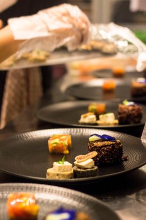 Starters in Preparation at Terra in 