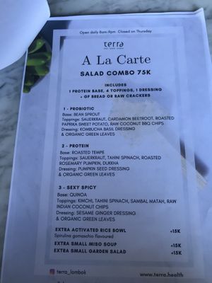 Menu at Terra in 