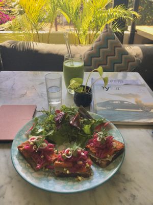 delicious food at Terra in 