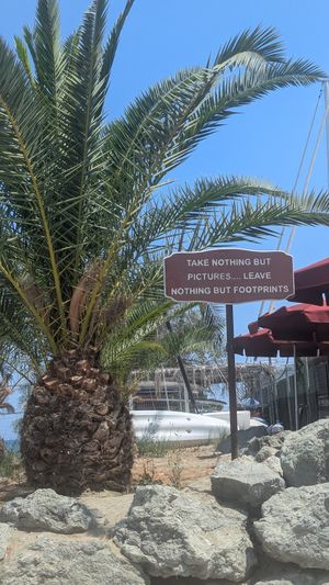  at Seashells Healthy Living in Limassol