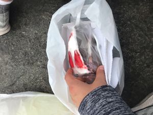 Takeaway cake at Loving Hut - Jiron Carabaya in Lima