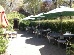 Sunny courtyard at The Bicycle Thief in Christchurch