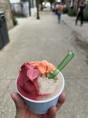Banana, blood orange and mix berry sorbet  at Café Del Hidalgo in St Augustine