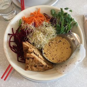 Bol Dragon at Aux Vivres - St Laurent in Montreal