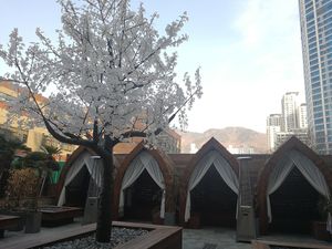 courtyard outside the cafe. would be cute during the warmer months at Doco - City Farm House Cafe in Busan