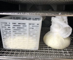 Vegan cheese  at Ayarah in Roleystone