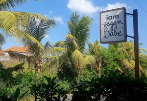  at I Am Vegan Babe in Canggu