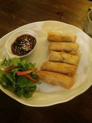Spring rolls at Vegan Zone in Hoi An