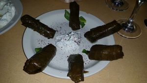 Vegetarian Grape Leaves w/Grecian Sauce at Petra Cafe in Hattiesburg