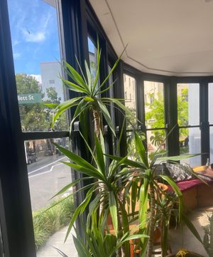   at House Bar & Bistrot  in Sydney