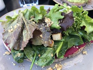 Forest Toast with just a few bits of tofu  at Fauna & Flora in Lisbon