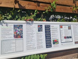 Menu at Zaatar Lebanese Syrian Cuisine in Ayia Napa