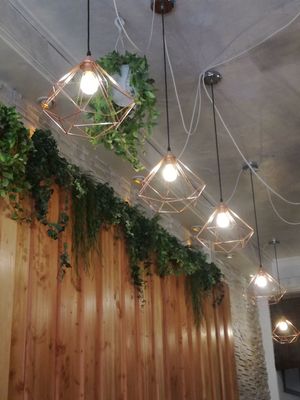 Greens and lights at Veget'Halles in Paris
