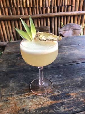 Royal Hawaiian  at Barba Negra in Holbox