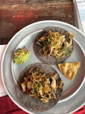   at Barba Negra in Holbox