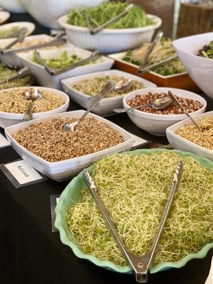 Fresh Sprouts of all kinds in their amazing Buffet area at Hippocrates Health Institute in West Palm Beach