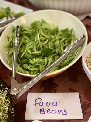 Fava Beans at Hippocrates Health Institute in West Palm Beach
