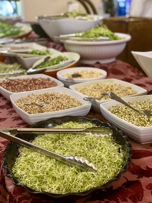 Clover Sprouts at Hippocrates Health Institute in West Palm Beach
