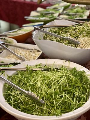 Pea Sprouts at Hippocrates Health Institute in West Palm Beach