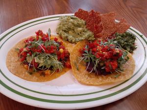  at Hippocrates Health Institute in West Palm Beach