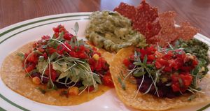  at Hippocrates Health Institute in West Palm Beach