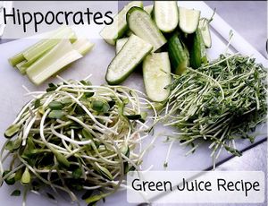  at Hippocrates Health Institute in West Palm Beach