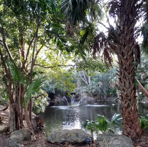  at Hippocrates Health Institute in West Palm Beach