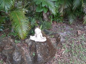  at Hippocrates Health Institute in West Palm Beach