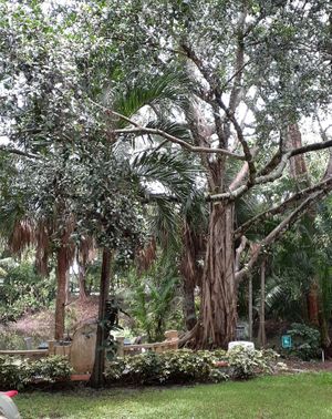  at Hippocrates Health Institute in West Palm Beach