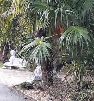  at Hippocrates Health Institute in West Palm Beach