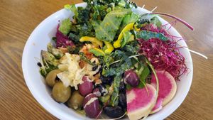  at Hippocrates Health Institute in West Palm Beach