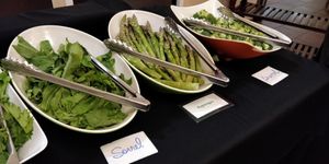 Raw Vegan Buffet at Hippocrates Health Institute in West Palm Beach