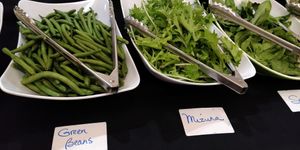 Raw Vegan Buffet at Hippocrates Health Institute in West Palm Beach