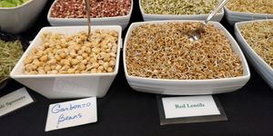 Raw Vegan Buffet at Hippocrates Health Institute in West Palm Beach