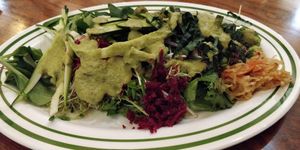 Raw Vegan Buffet at Hippocrates Health Institute in West Palm Beach