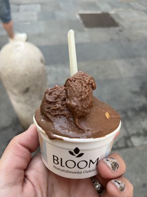   at Bloom in Modena
