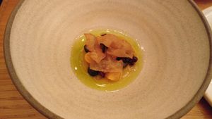 Opa tel aviv at Opa in Tel Aviv