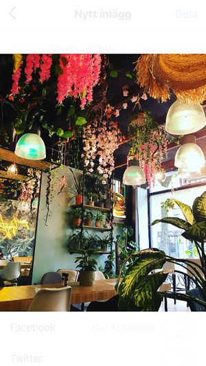 So cosy 🧡 at Happy Food and Health  in Rotterdam