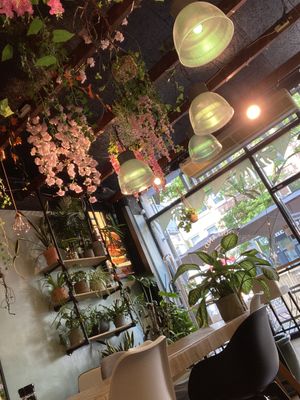 Really cute deco😍 at Happy Food and Health  in Rotterdam