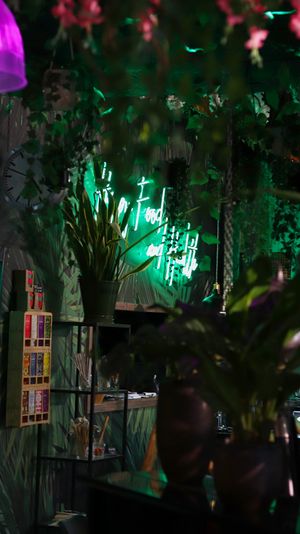 Our view from our table, through the jungle interior to the coffee bar corner. at Happy Food and Health  in Rotterdam