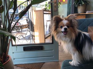 Happy customer  at Happy Food and Health  in Rotterdam