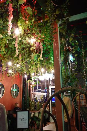 Interior  at Happy Food and Health  in Rotterdam