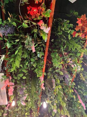   at Happy Food and Health  in Rotterdam